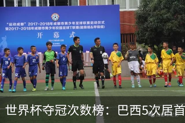 世界杯夺冠次数榜：巴西5次居首，西班牙2次升至并列第五