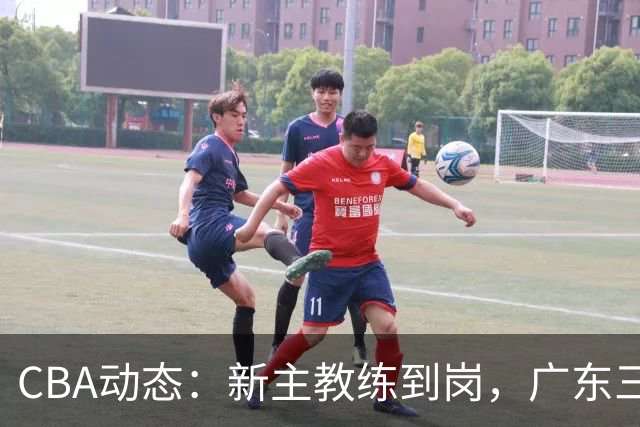 CBA动态：新主教练到岗，广东三大外援遭挖角，威姆斯谈杜锋离职